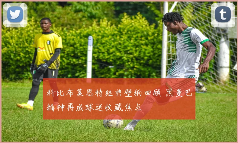 科比布莱恩特经典壁纸回顾 黑曼巴精神再成球迷收藏焦点