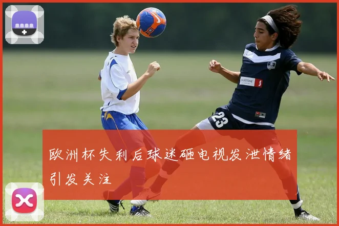 欧洲杯失利后球迷砸电视发泄情绪引发关注