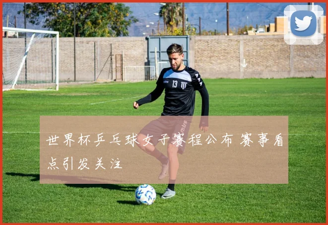 世界杯乒乓球女子赛程公布 赛事看点引发关注