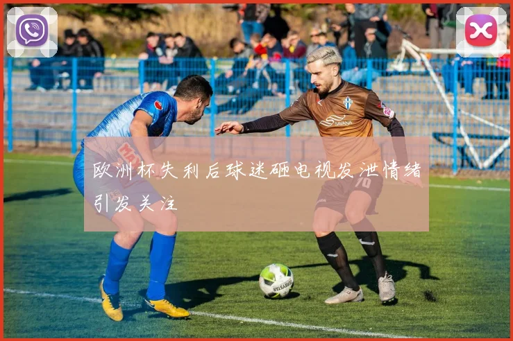 欧洲杯失利后球迷砸电视发泄情绪引发关注