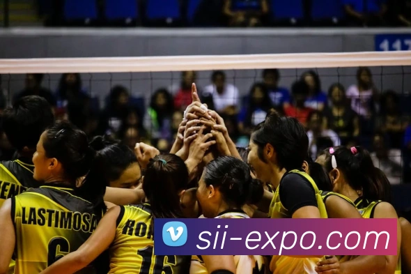 世界杯开户平台发展历程